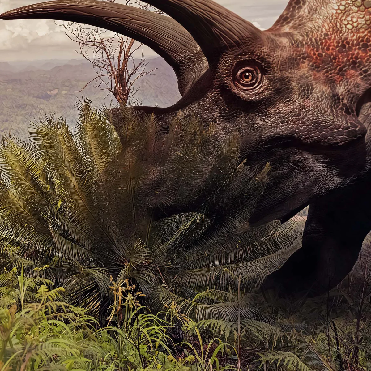 Tyceratops