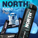 North Disposable Vape