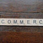 ecommerce SEO expert
